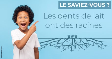 https://dr-picard-nicolas.chirurgiens-dentistes.fr/Les dents de lait 2