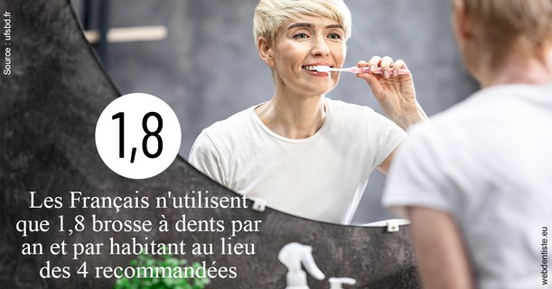 https://dr-picard-nicolas.chirurgiens-dentistes.fr/Français brosses 2