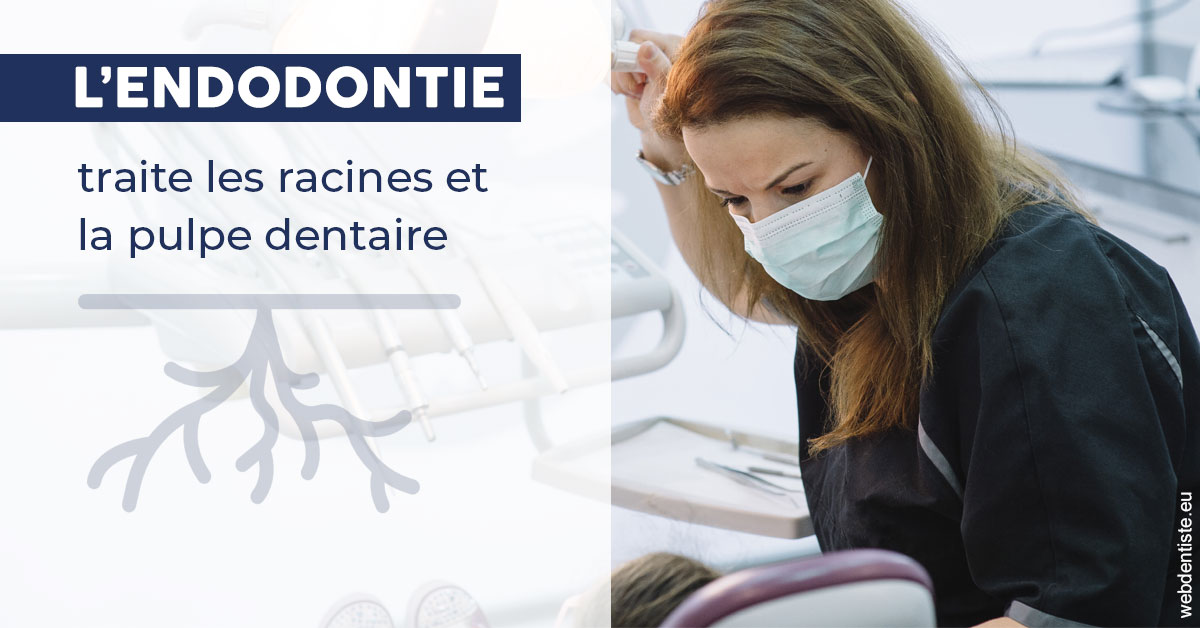 https://dr-picard-nicolas.chirurgiens-dentistes.fr/L'endodontie 1