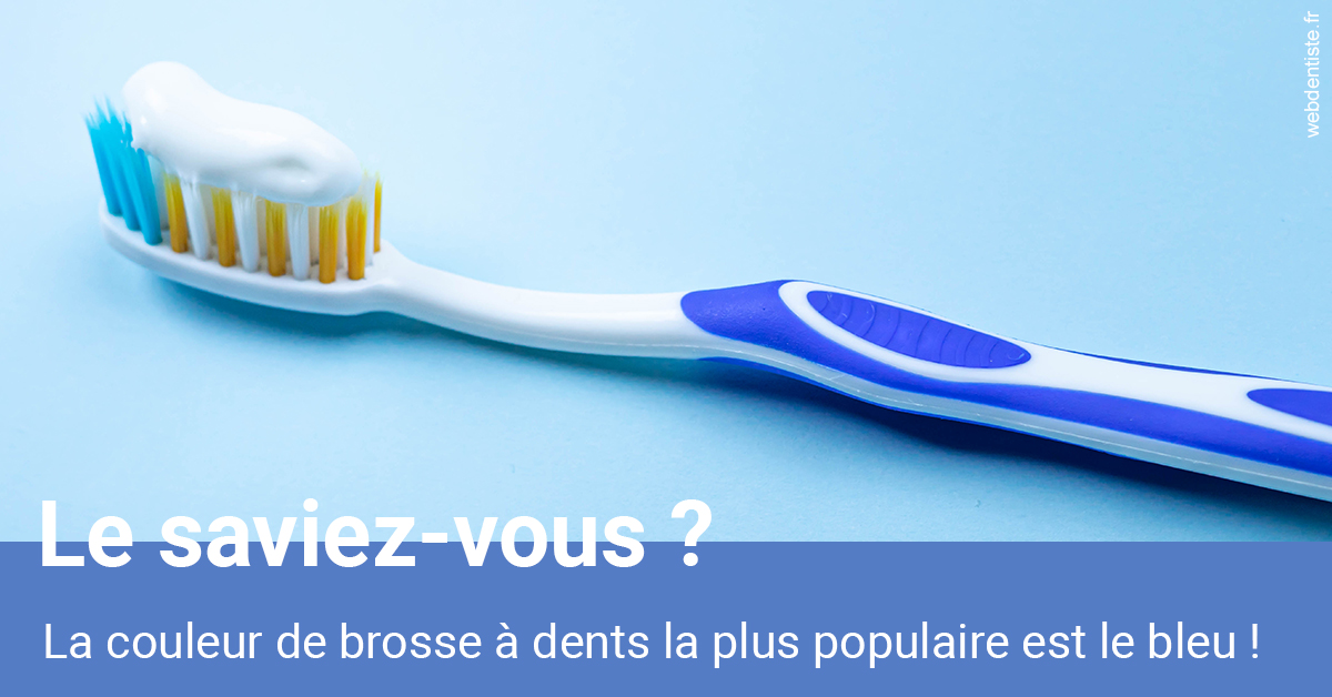 https://dr-picard-nicolas.chirurgiens-dentistes.fr/Couleur de brosse à dents