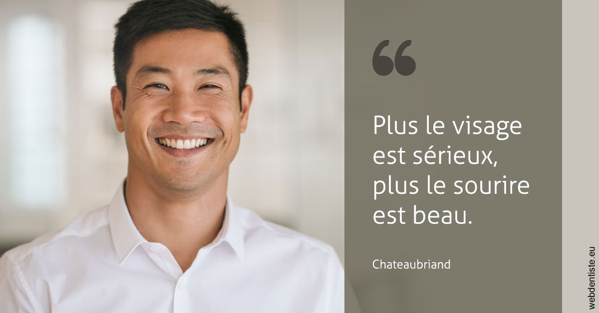 https://dr-picard-nicolas.chirurgiens-dentistes.fr/Chateaubriand 1