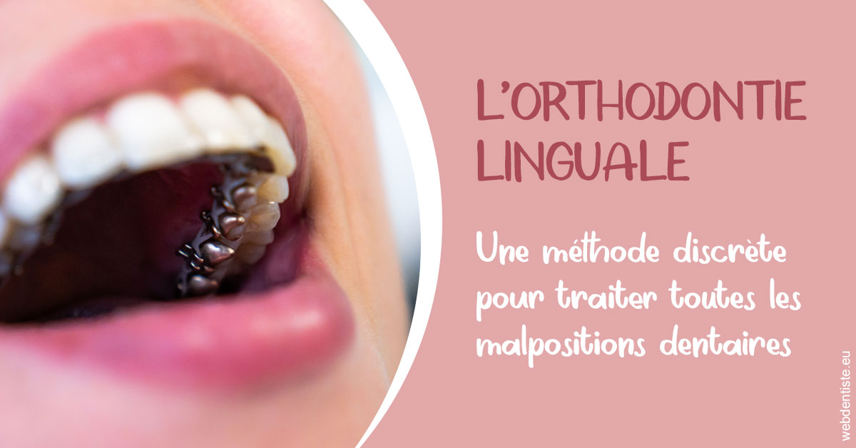 https://dr-picard-nicolas.chirurgiens-dentistes.fr/L'orthodontie linguale 2