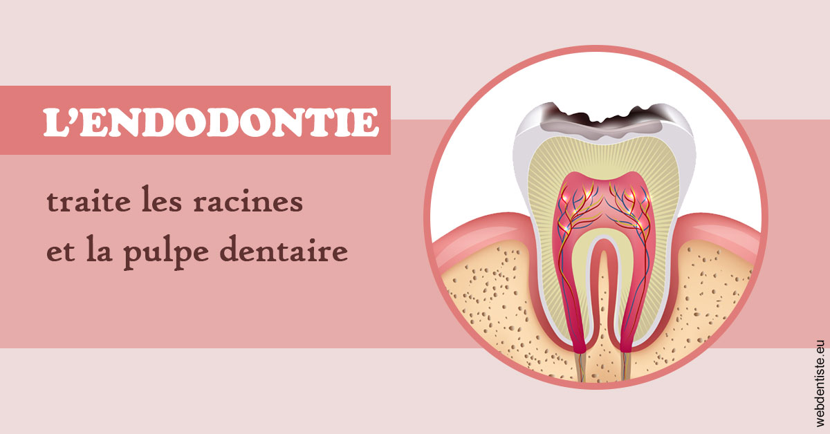 https://dr-picard-nicolas.chirurgiens-dentistes.fr/L'endodontie 2
