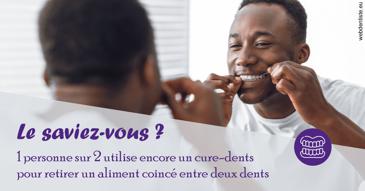 https://dr-picard-nicolas.chirurgiens-dentistes.fr/Cure-dents 2