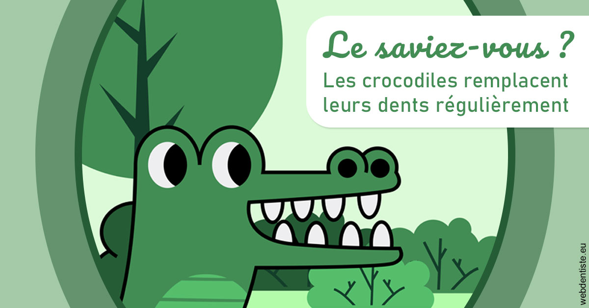 https://dr-picard-nicolas.chirurgiens-dentistes.fr/Crocodiles 2