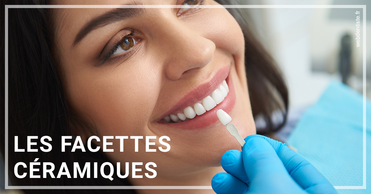 https://dr-picard-nicolas.chirurgiens-dentistes.fr/Les facettes céramiques 1