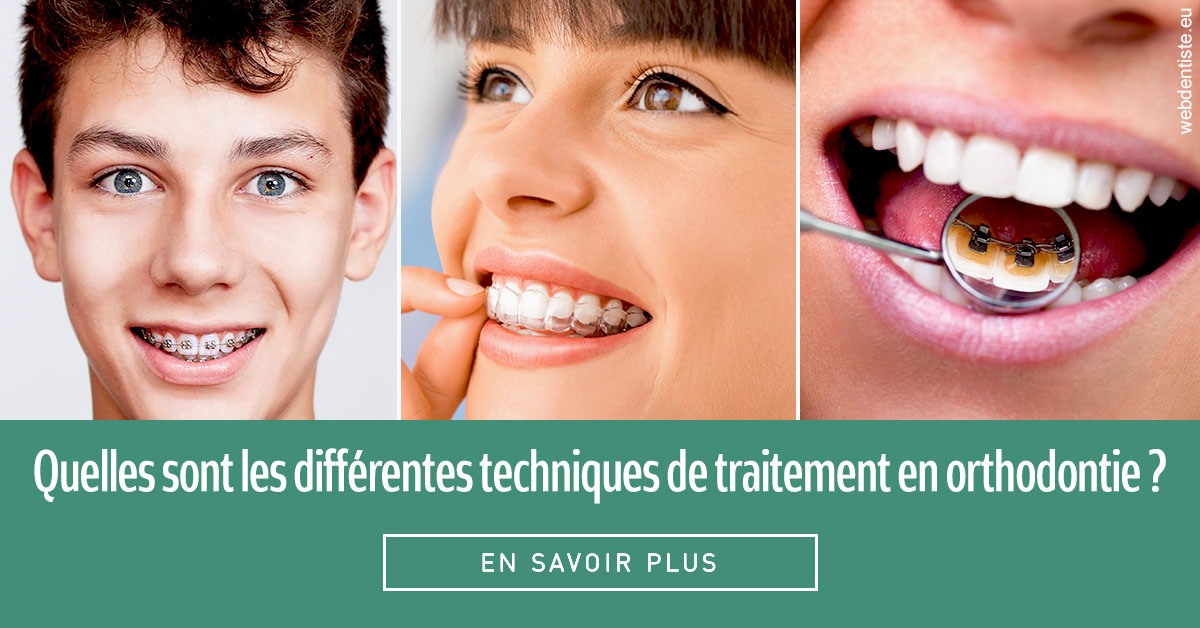 https://dr-picard-nicolas.chirurgiens-dentistes.fr/Les différentes techniques de traitement 2