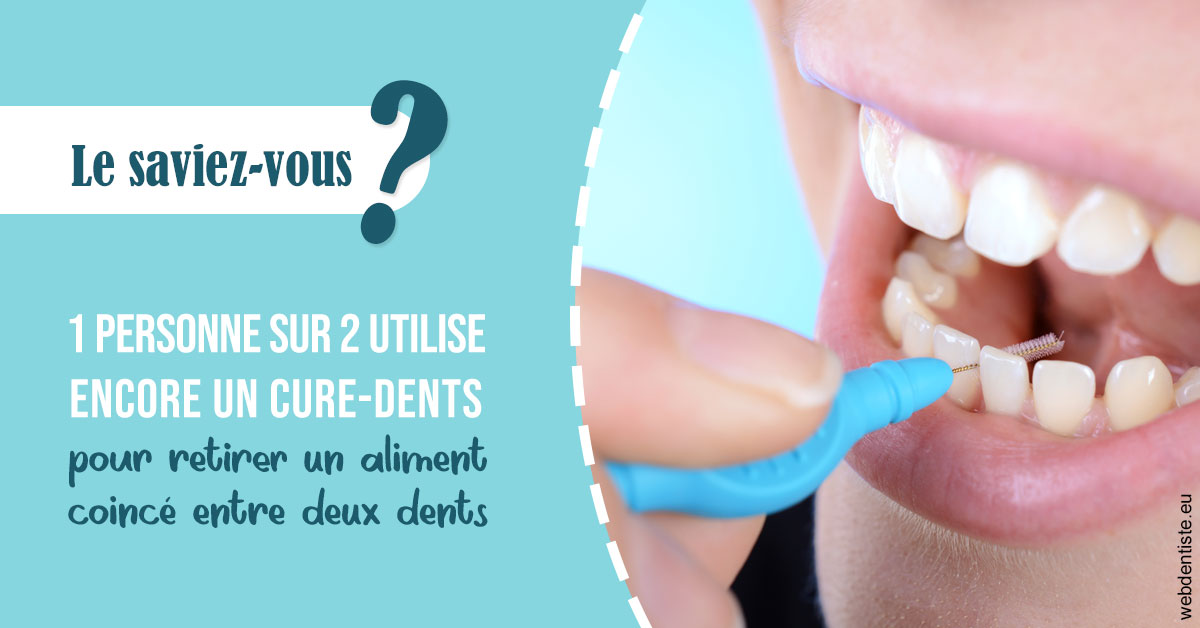 https://dr-picard-nicolas.chirurgiens-dentistes.fr/Cure-dents 1