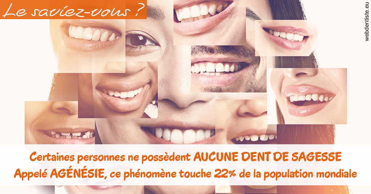 https://dr-picard-nicolas.chirurgiens-dentistes.fr/Agénésie 2