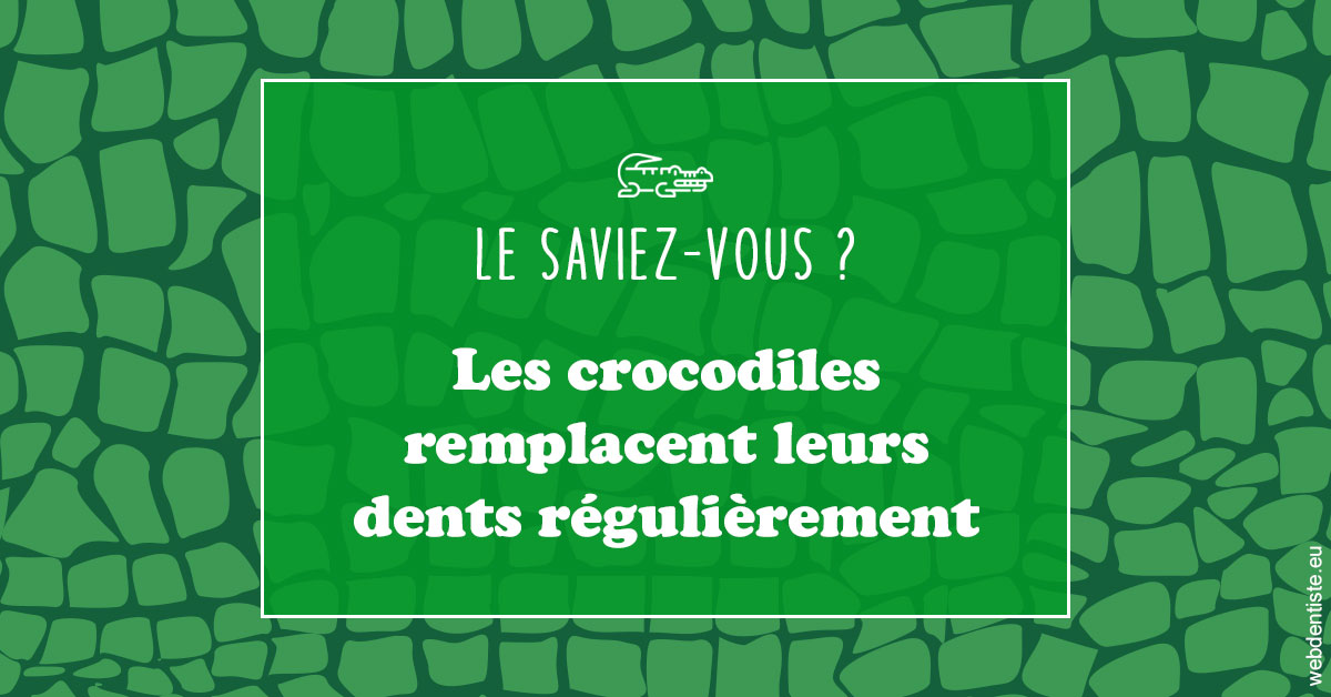https://dr-picard-nicolas.chirurgiens-dentistes.fr/Crocodiles 1