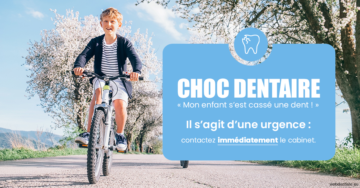 https://dr-picard-nicolas.chirurgiens-dentistes.fr/T2 2023 - Choc dentaire 1